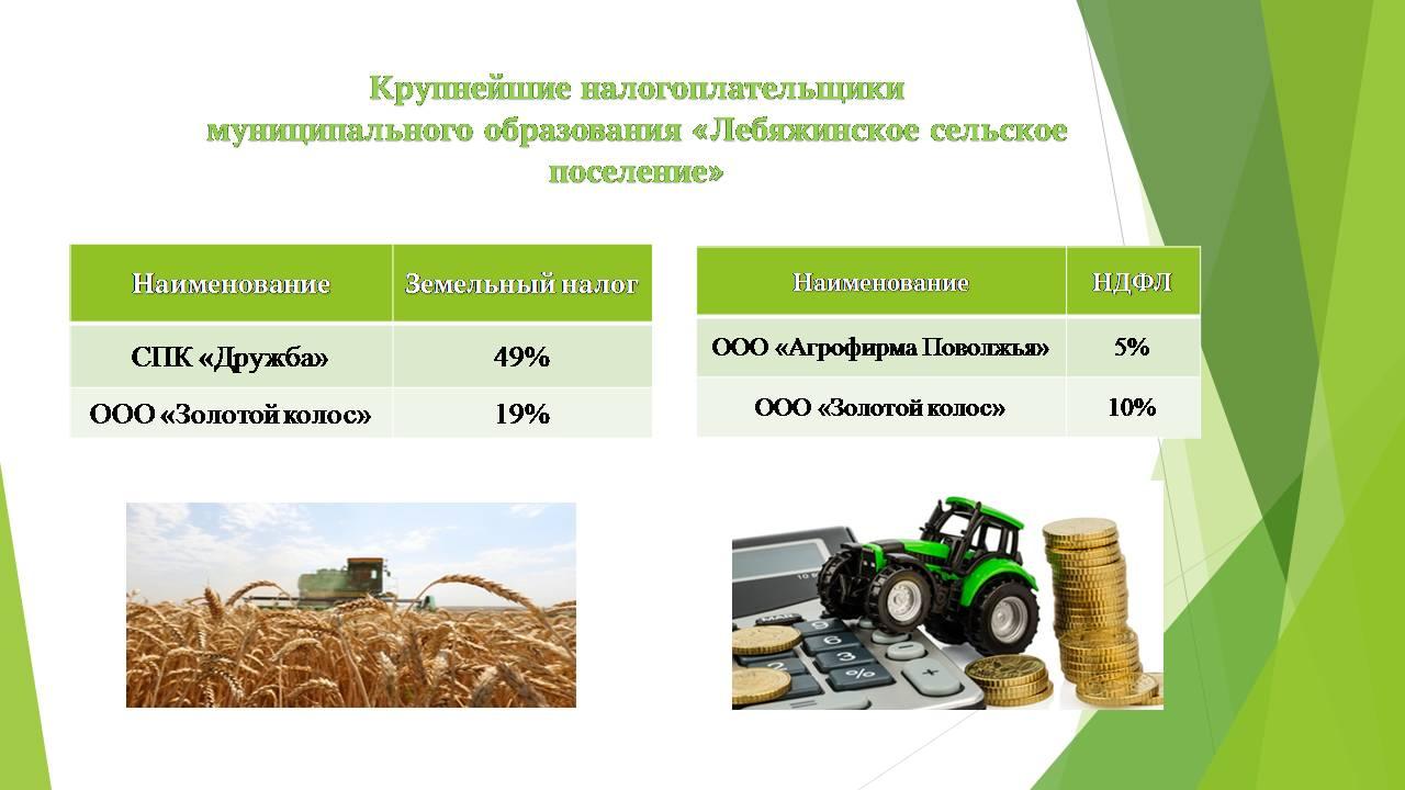 Бюджет для граждан на 2025 год.